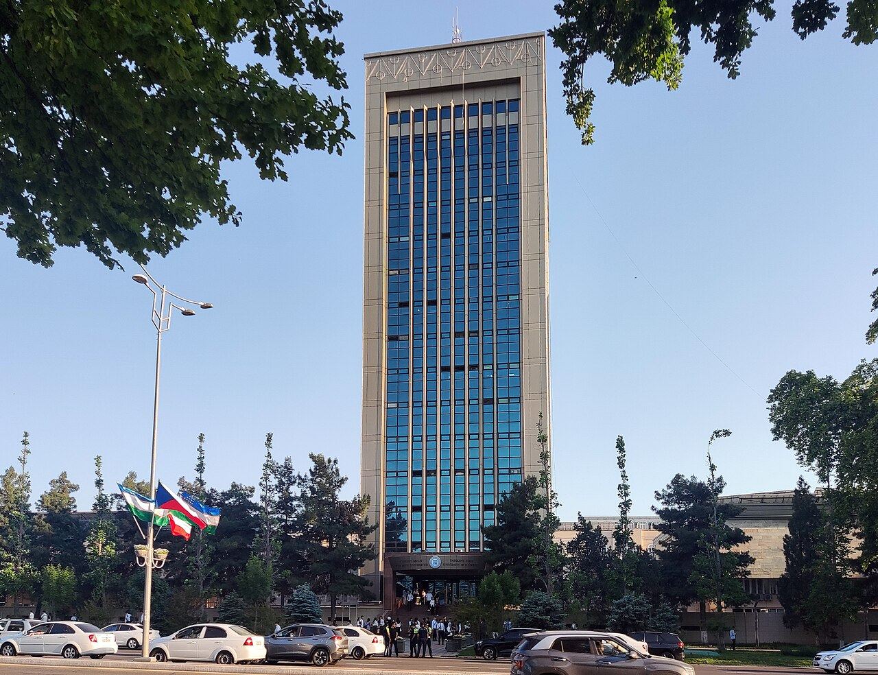 TDIU binosi